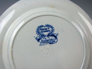Historic Dark Blue Staffordshire Transferware Plate by Clews Antique Circa 1825 6
