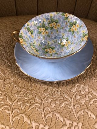 Shelley Chintz Baby Blue Footed English Oleander Cup Saucer Gold Trim