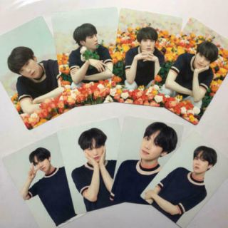 Bts Love Yourself World Ly Tour Suga Mini Photo 8 Set Official Photocard