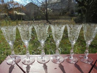 6 Vintage Cambridge Glass Rose Point Wine Goblets 5 7/8 " 2 1/2 Oz Stem 3121