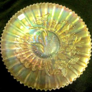 VERY PRETTY WHITE NORTHWOOD CARNIVAL GLASS PEACOCKS PLATE WITH THE RAYED BACK 2