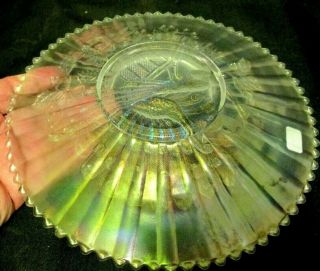 VERY PRETTY WHITE NORTHWOOD CARNIVAL GLASS PEACOCKS PLATE WITH THE RAYED BACK 4