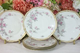Very Fine,  Exceptional,  Haviland Dinner Plates Double Gold,  Pink Roses (6)