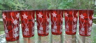 Set of 6 Vintage Ruby Red Tumblers with White Lilies Anchor Hocking 2
