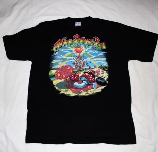 The Allman Brothers Band T - Shirt - Summer 