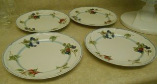 Set Of 4 - Villeroy & Boch Cottage 10 - 1/2 " Dinner Plates