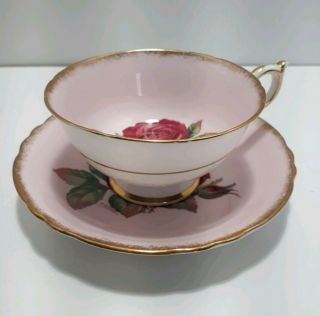 Paragon Red Cabbage Rose Pink Wide Mouth Cup & Saucer Signed R.  Johnson