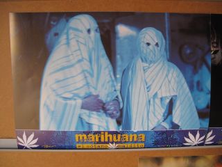 604 Marihuana El Sotano Maldito - Robert Sarkies - Willa O 
