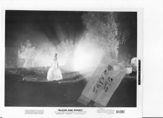 Blood And Roses 1961 Bw Orig Vintage Still Photo Horror Vampire Coffin Cemetary