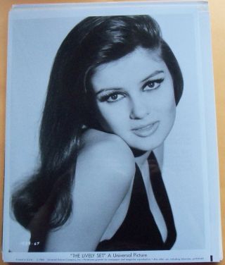 Pamela Tiffin Glamour Portrait Glossy Vintage B&w Movie Promo Photo