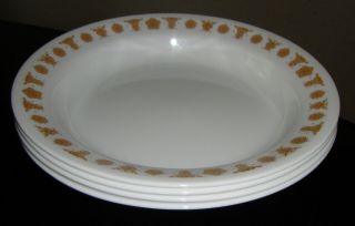 Corelle Butterfly Gold Flat Rimmed Soup Pasta Bowl Set Of 4
