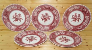 Spode Camilla Pink (5) Dinner Plates,  10 3/8 "