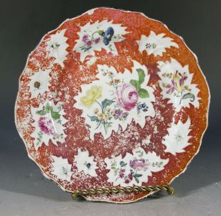 Antique 1745 - 1760 Meissen Flower & Insect 10 " Plate For Ottoman Trade/market Yqz