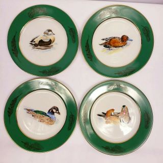 Tiffany & Co.  Water Duck Salad Plate Set Of 4 Gold Rim All Different 8 " Euc