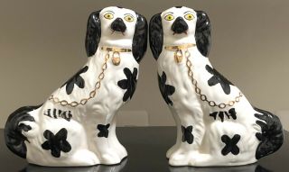 Vintage Pair Staffordshire England Black & White Spaniel Dogs Marked Gold Trim