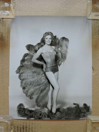 Sheree North With Feather Fans Orig Leggy Pinup Studio Portrait Photo 1956 Fox
