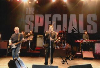 The Specials Hand Signed 12x8 Photo - Music Autograph Terry Hall 1.