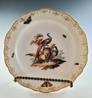 Antique Meissen Cabinet Plate Pheasants Butterflies,  Bugs Gold Scroll No Crazing