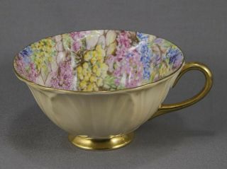 Shelley Footed Oleander Fawn " Rock Garden Chintz " Cup Excel 13415/s1