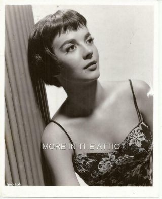 Young Gorgeous Natalie Wood Hollywood Glamour Portrait Still 10