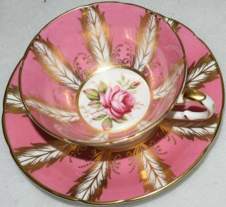 Paragon By Appointment Rose Teacup And Saucer And Wall Display