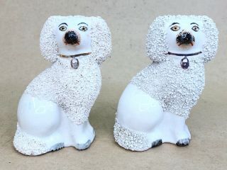Antique Staffordshire Poodle Confetti Dog Figurine Approx.  4.  5 " High