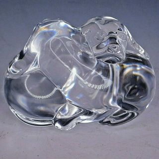 Steuben Crystal Art Glass Puppy Love Dog Paperweight Hand Cooler Sculpture 8524