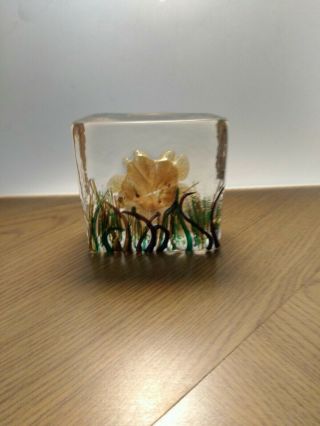 Tim Harris Isle Of Wight Glass In Square Form Block Featuring Flower And Fauna