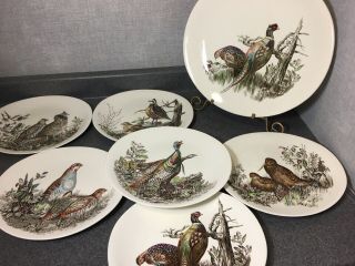 Johnson Brothers Game Birds Platter & 6 Dinner Plates - Pheasant & More