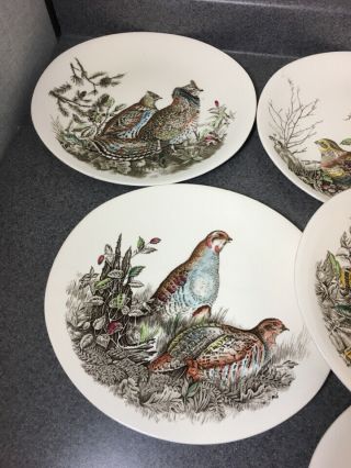 Johnson Brothers Game Birds Platter & 6 Dinner Plates - Pheasant & More 2