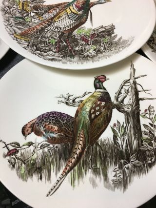 Johnson Brothers Game Birds Platter & 6 Dinner Plates - Pheasant & More 3