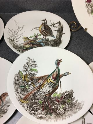 Johnson Brothers Game Birds Platter & 6 Dinner Plates - Pheasant & More 7