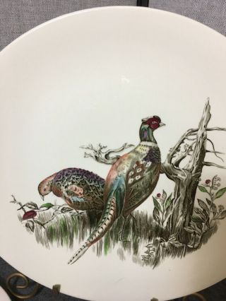Johnson Brothers Game Birds Platter & 6 Dinner Plates - Pheasant & More 8