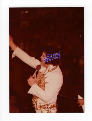 Elvis Presley Kodak Concert Photo - Sundial 1977 - Jim Curtin Vintage