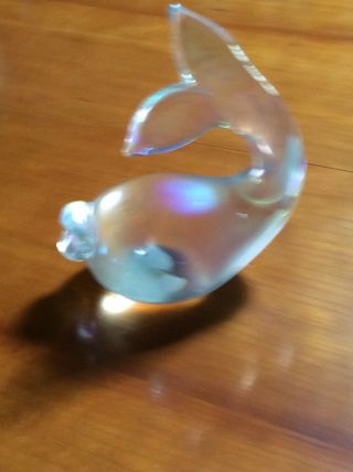 John Ditchfield Glass Dolfin