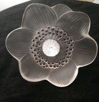 Lalique France Frosted Crystal Anemone Flower Art Glass Paperweight