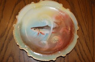 Vintage - Limoges - Coronet France - Fish Plate - Signed