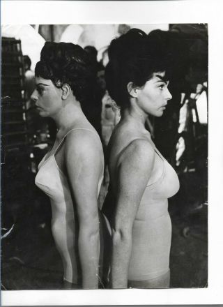 1960s Sally Douglas Glamour Exquisite Vintage Photo 152