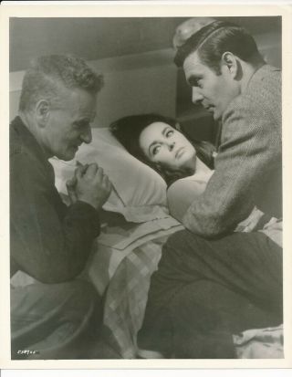 Elizabeth Taylor Uk Director Anthony Asquith Vintage Candid The Vips Mgm Photo