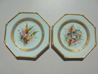Pair Antique Royal Worcester Porcelain Hp Botanical Flower Bouquet Plates W Gold