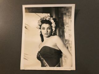 1940s Suzan Ball Glamour Exquisite Stunning Photo Photograph 10