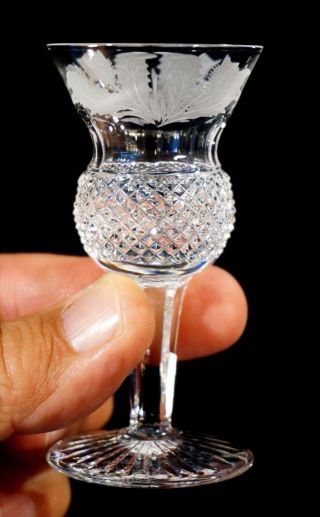 Edinburgh Crystal Thistle Cordial Glass