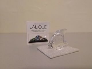 Rare Lalique Crystal Fish Figurine Clear With Official Pouch