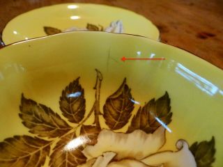 PARAGON YELLOW FLOATING ROSE CUP & SAUCER,  FLAWED BEAUTY 3