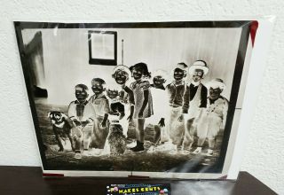 The Little Rascals Aka Our Gang - Vintage 8x10 Negative Press Photo