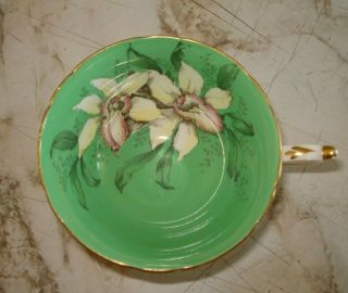 Vintage Double Warrant Paragon Footed Cup & Saucer Green w/ Flowers 2