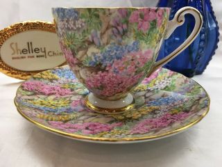 Shelley Ripon Rock Garden Chintz Cup And Saucer - Gold Trim 14267