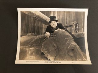1940s Oliver Hardy Glamour Exquisite Stunning Photo Photograph 14