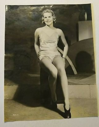 & Rare 7 " X 9 " Press Publicity Photo Miss America 1937 Bette Cooper