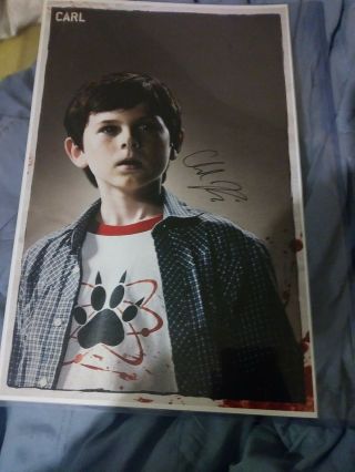 Chandler Riggs As Carl Grimes The Walking Dead Autograph 11 X 17 Poster.